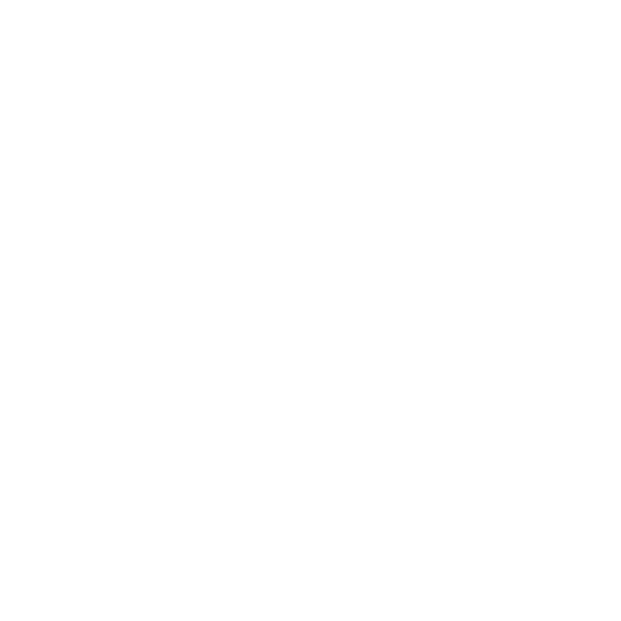 Dulku Freight logo