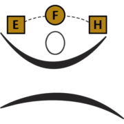 Express Freight Handlers logo